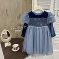 Girls' spring dress new : stylish baby girl birthday dress, fleece-lined and thickened, elsa princess dress, trendy style