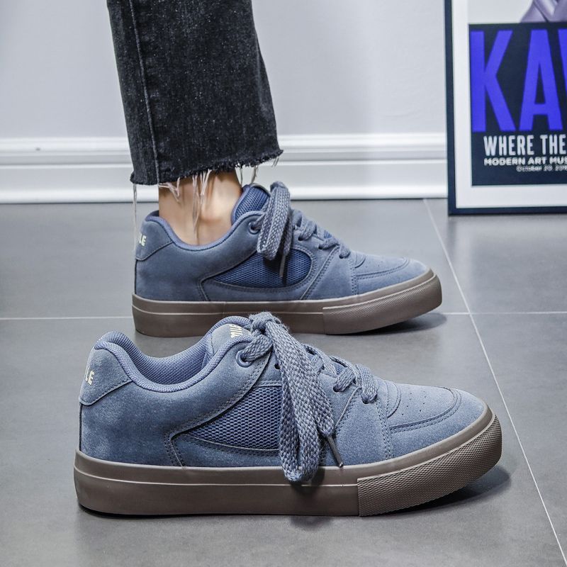 Board shoes men's 2025 spring new men's shoes Korean version of sports and leisure shoes versatile niche trendy canvas shoes wholesale