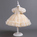 Yimingwei  kids first birthday full moon kids dress performance costume kids princess tutu skirt kidsdress