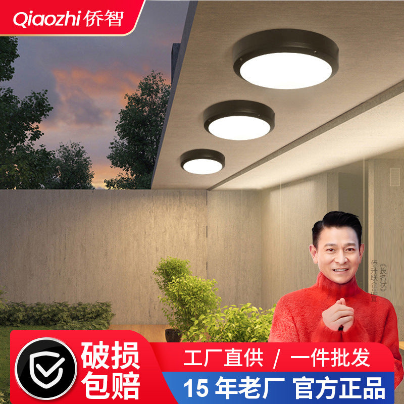 Three-proof ceiling light Simple outdoor waterproof and insect-proof balcony corridor Villa courtyard eaves Eaves Super bright ceiling light