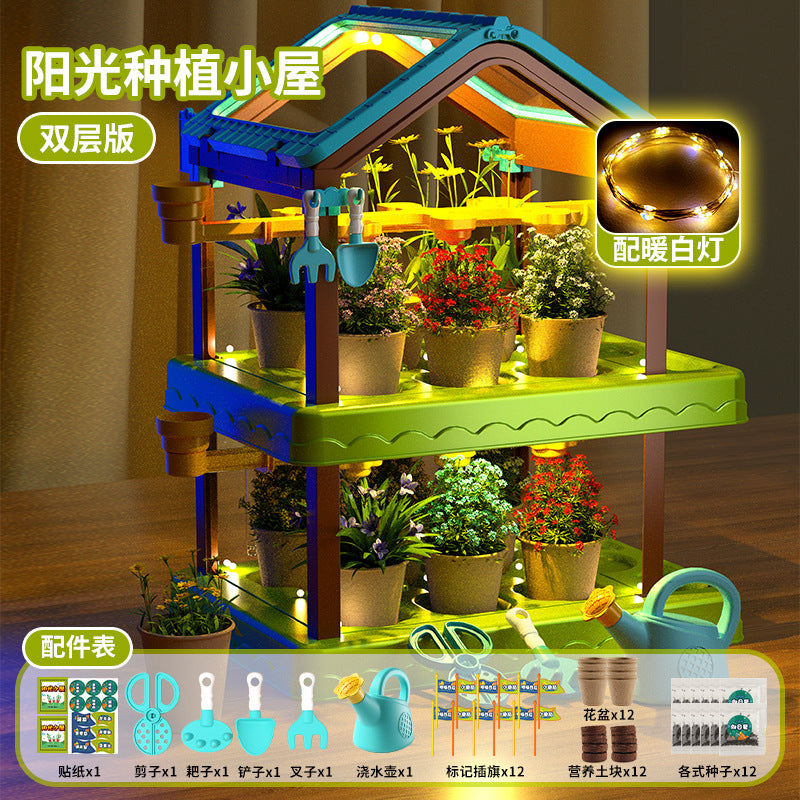 Diy sunroom planting kit for kids: science experiment set for elementary school students - educational toy for boys and girls