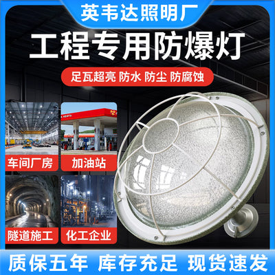 Led explosion-proof lights for factory workshops, industrial and mining plants, warehouses, explosion-proof lights, lampshades, special lights for gas stations