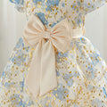 New arrival: girls' printed chiffon bowknot tutu dress - perfect for little misses! (cross-border e-commerce)