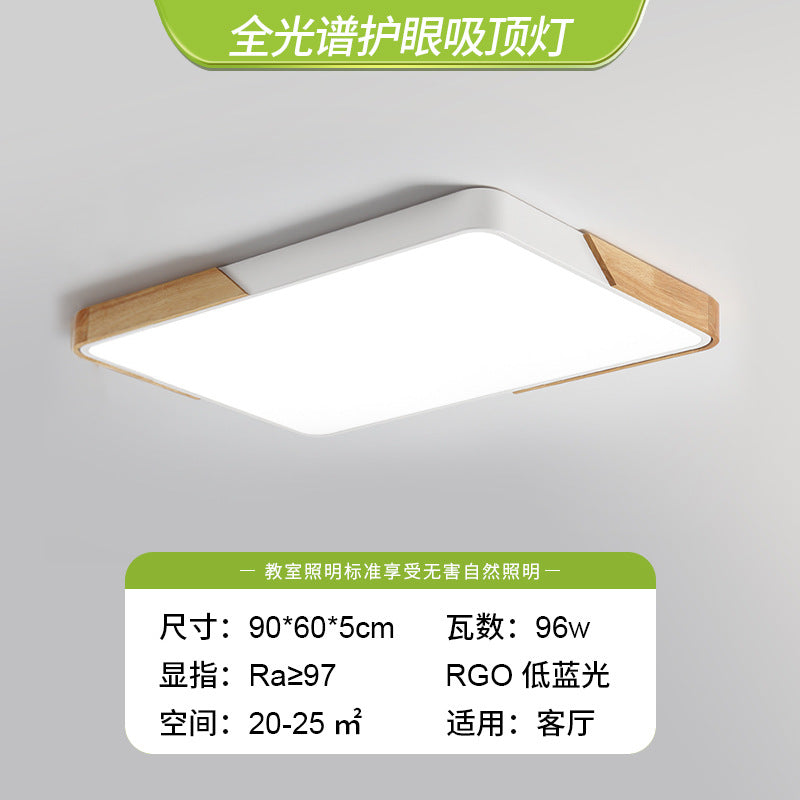 Living room light 2025 new Nordic led ceiling light simple modern creative room bedroom light Zhongshan lighting