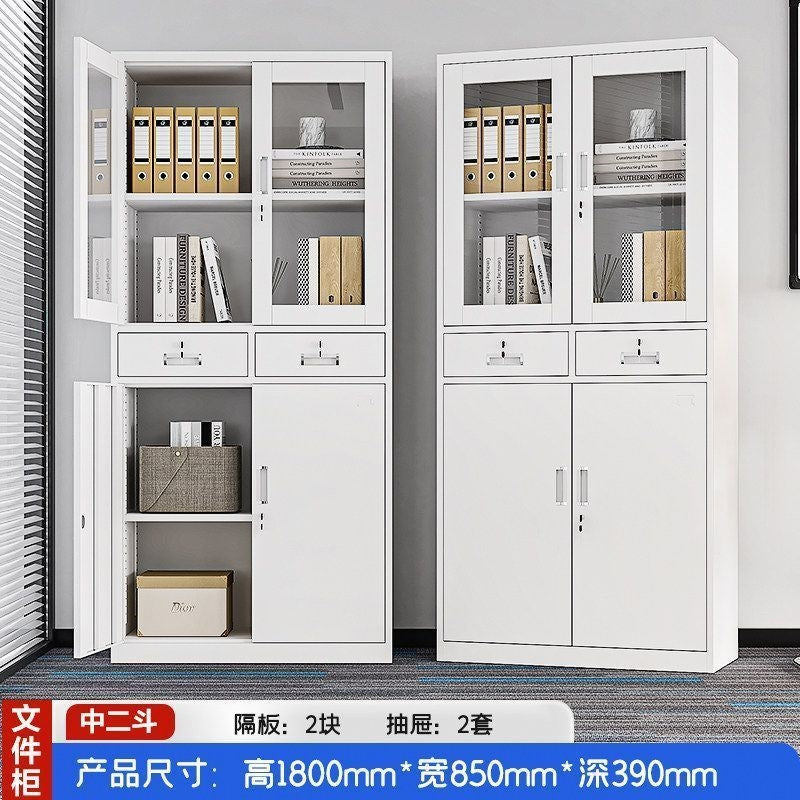 Heavy-duty steel office file cabinet - steel document cabinet for financial records, accounting files, and storage - low profile storage unit