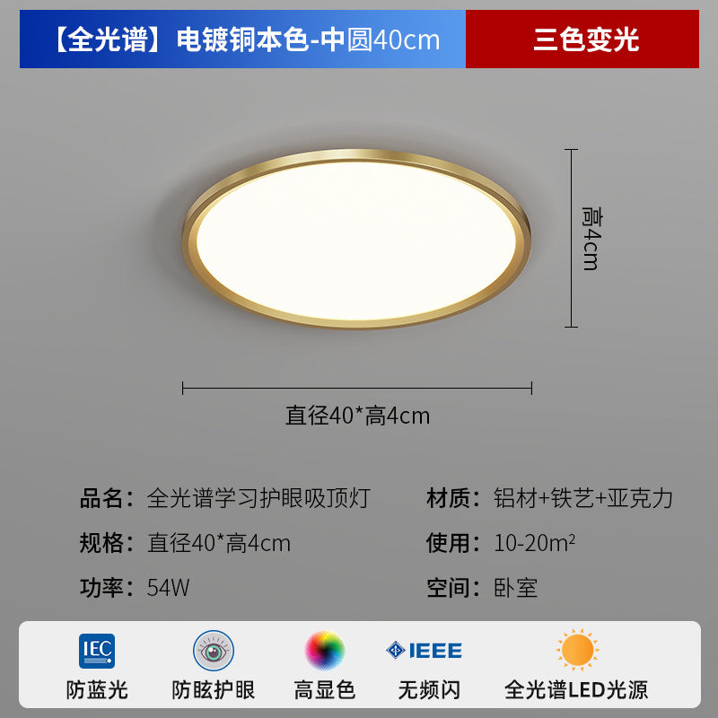 Zhongshan Modern Simple Living Room Light Ceiling Light 2025 New Puri Full Spectrum Eye Protection Bedroom Room Lighting