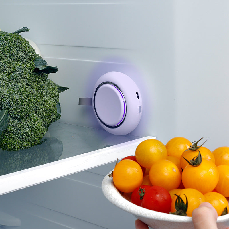New car air purifier, rechargeable home use, shoe cabinet, refrigerator smart ozone sterilizer disinfector - gift option