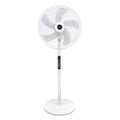 Remote control electric fan, 16-inch, 8-speed, high airflow, with timer and remote, home floor fan, 110v, cross-border wholesale gift