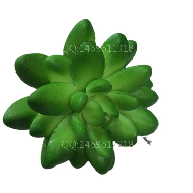 Simulation single mini small pentagonal lotus high imitation green plant wall accessories micro landscape floral plants