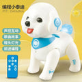 New cross-border smart early education programming remote control robot - singing, dancing, sensory interactive educational toy gift