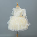 Ready-to-ship, hot-selling girls' dresses for cross-border e-commerce, new high-end flower girl dresses, wedding dresses, piano recital dresses, and princess dresses for children, perfect for