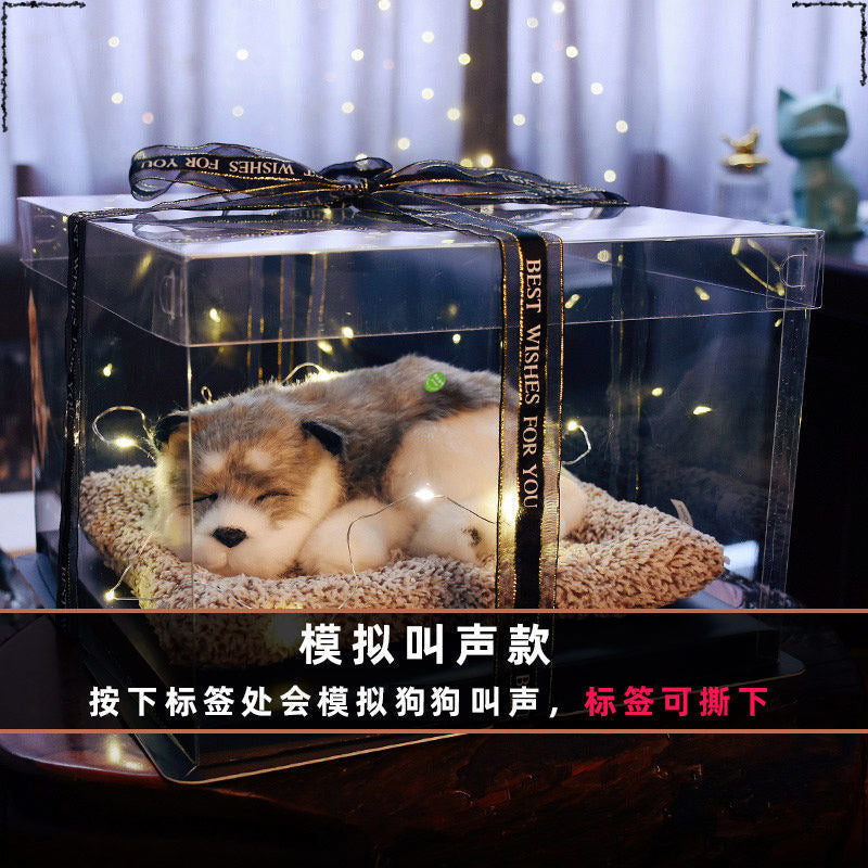 Birthday gifts for girls on Children's Day, children's girlfriends, girlfriends, simulated cats to accompany dolls 61 gift boxes