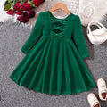 Ew foreign trade children's wear: new autumn/winter velvet bow christmas princess dress for girls (sizes for toddlers and young children)