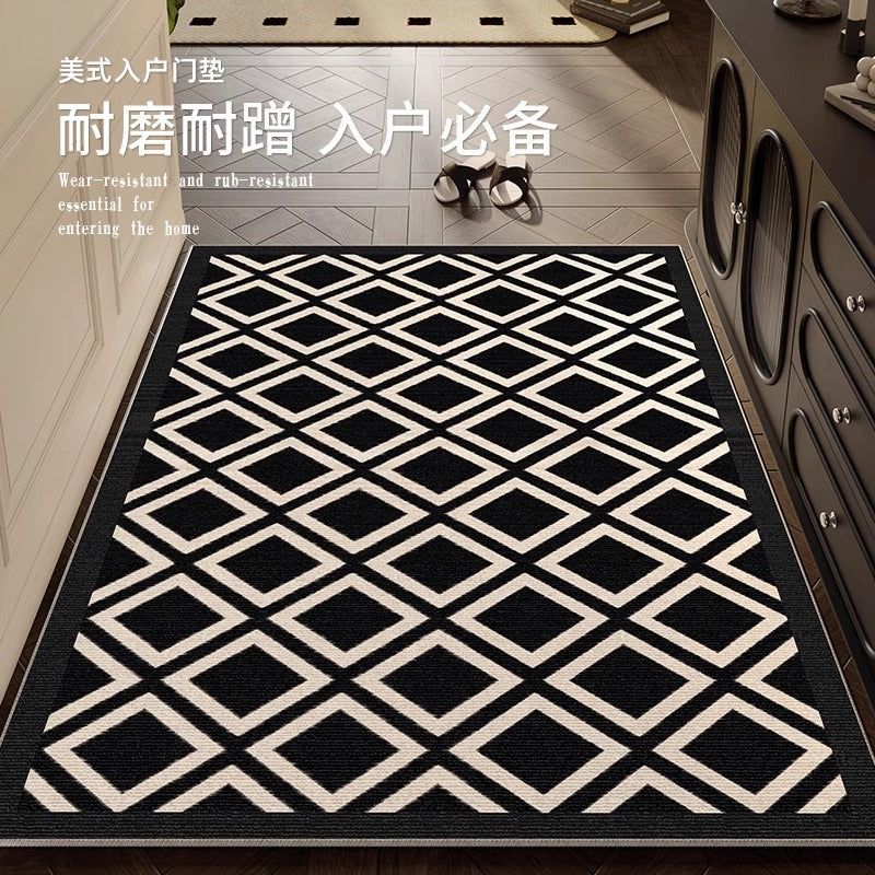 Entrance door mat, new  model: high-end, stain-resistant, wash-free, wipeable doormat for entryways