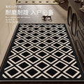 Entrance door mat, new  model: high-end, stain-resistant, wash-free, wipeable doormat for entryways