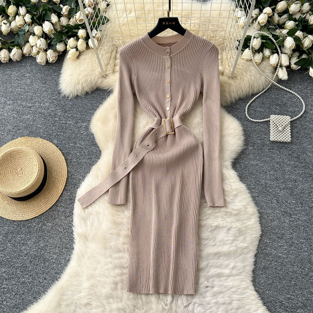 Minimalist chic knit long sleeve dress - women's autumn belted slim fit elegant mature style maxi dress