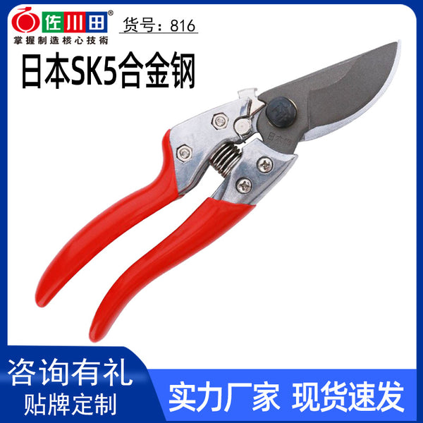 Taiwan Sakawada 816 pruning shears fruit tree pruning tools garden shears branch shears Alice fruit tree shears