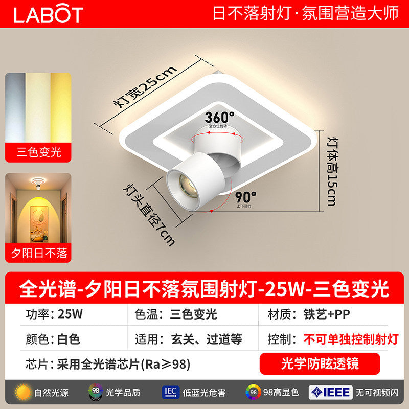 Aisle lights, corridor lights, surface-mounted projection, never-sunset atmosphere lights, entrance hall, high-end balcony led ceiling lights