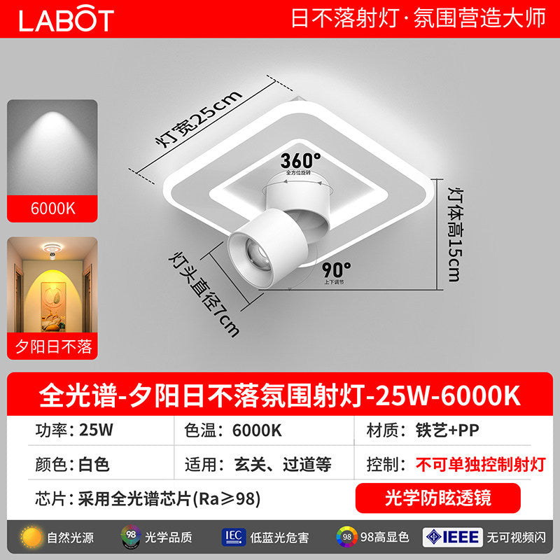 Aisle lights, corridor lights, surface-mounted projection, never-sunset atmosphere lights, entrance hall, high-end balcony led ceiling lights