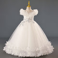 in stockgirl dress princess dress flower children's dress wedding dress evening dress catwalk gauze skirt kids 61 costumes