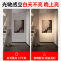 Surface-mounted human body sensor light for home corridor aisle light entrance entrance light corridor downlight infrared ceiling spotlight