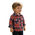 New spring children's clothing: boys' long-sleeved plaid shirt - korean style