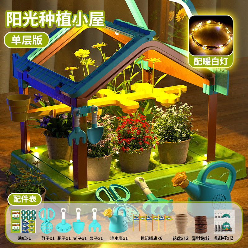 Diy sunroom planting kit for kids: science experiment set for elementary school students - educational toy for boys and girls