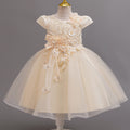 Exportnew arrivallace flower puffy wedding dress princess dress girl model catwalk dress flower girl