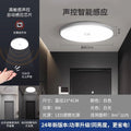 Led ceiling light - motion sensor radar light for stairwells, hallways, entryways, and balconies