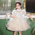 Girls' high-end dresses, cross-border foreign trade, new large skirt flower girl wedding dress, host piano performance, gorgeous in stock