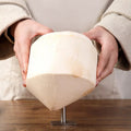 Stainless steel coconut opener - quick coconut drilling tool for fresh coconuts, includes straw insertion tool