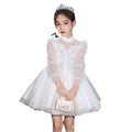 New girls' export dresses: long-sleeved mesh autumn/winter princess dresses for children - wholesale for hosts and piano performances