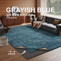 Removable and washable carpet, living room casual style, double layer, machine washable sofa sound insulation pad, retropure color, removable carpet