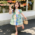 Girls' dresses  new summer collection: stylish baby princess dress, tie-dye vacation style, girls' clothing, little girl's dress