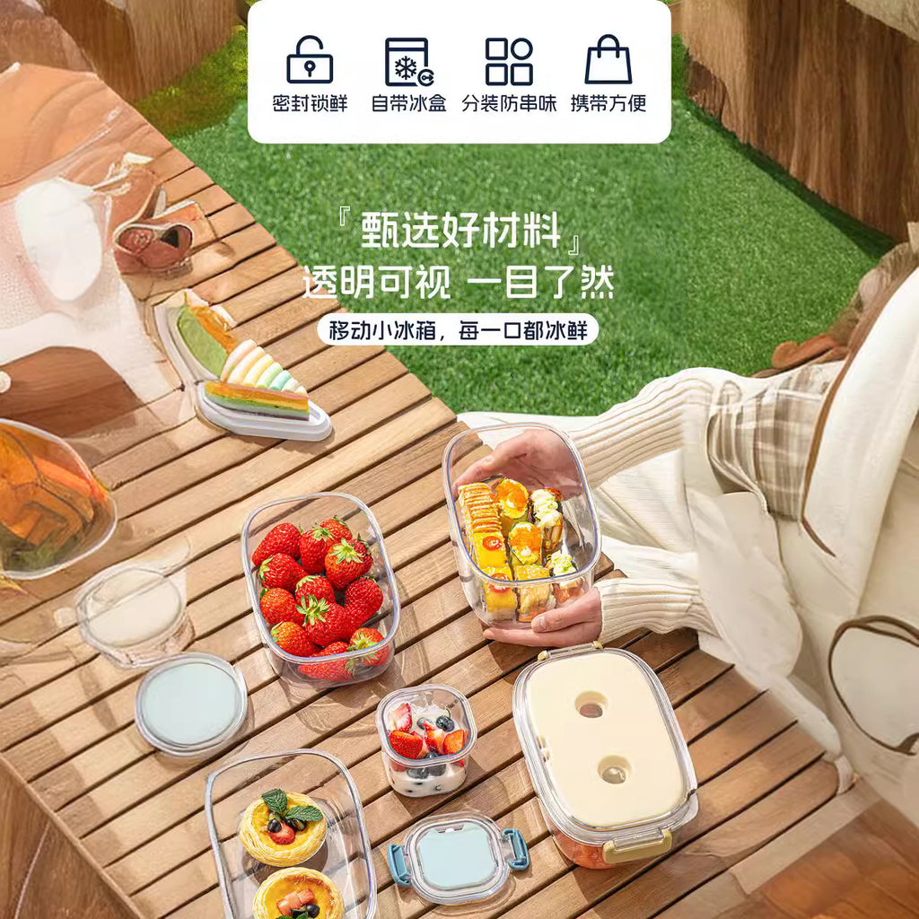 Outdoor fruit bento box mobile fresh-keeping ice box food grade ice box convenient ice grid mobile small refrigerator fresh-keeping box
