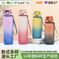 Carefully selected gradient color plastic water cup outdoor fitness with straw plastic cup classy portable large capacity water bottle