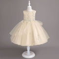 Ready-to-ship wholesale children's formal dresses, tulle princess dresses, little girl's piano recital dresses, girl dress